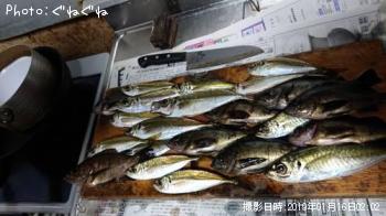 ¥¢¥¸¤È¥á¥Ð¥ë