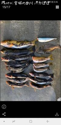 �����ʥᡢ���쥤������