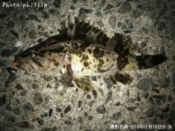 �����Υ���Х�