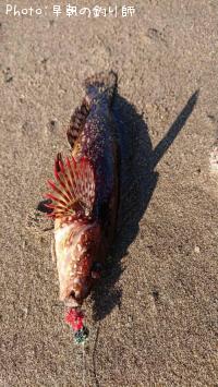 �����ʥ�