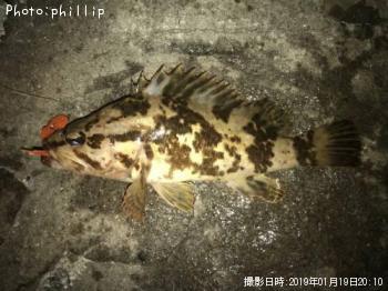 ¥¿¥±¥Î¥³¥á¥Ð¥ë