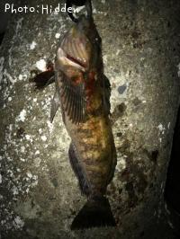 �����ʥ�