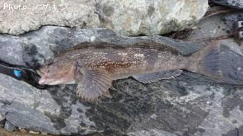 �����ʥ�