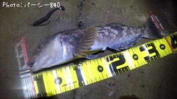 �����ʥ�