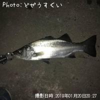 �����Х��ʥҥ饻������