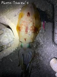 ¥¢¥ª¥ê¥¤¥«