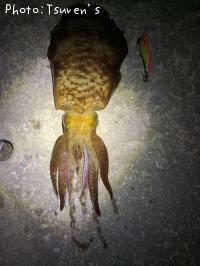 ¥¢¥ª¥ê¥¤¥«