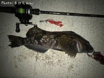 �����ʥ�