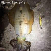 �����ꥤ��