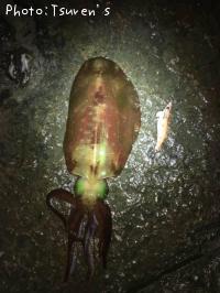 ¥¢¥ª¥ê¥¤¥«