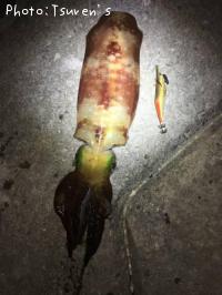 ¥¢¥ª¥ê¥¤¥«