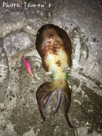 �����ꥤ��