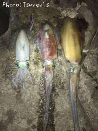 ¥¢¥ª¥ê¥¤¥«