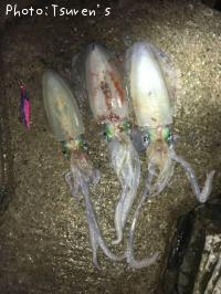 �����ꥤ��