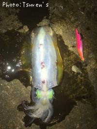 �����ꥤ��