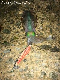 �����ꥤ��