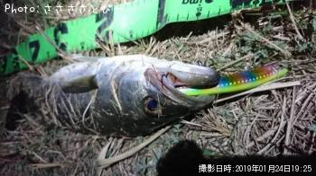 �����Х�