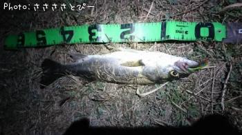 �����Х�