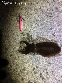 ¥¢¥ª¥ê¥¤¥«