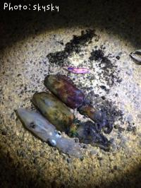 �����ꥤ��