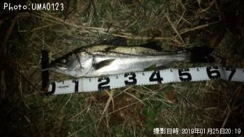 �����Х�