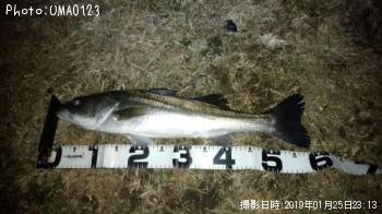 �����Х�