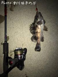 ¥¿¥±¥Î¥³¥á¥Ð¥ë