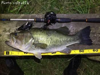 �֥�å��Х�