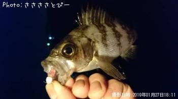 ��Х�������Х�