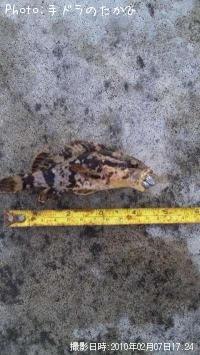 ¥¿¥±¥Î¥³¥á¥Ð¥ë