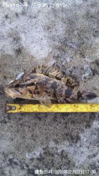 �����Υ���Х�