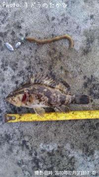 �����Υ���Х�