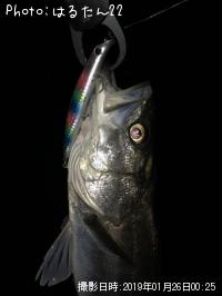 �����Х�