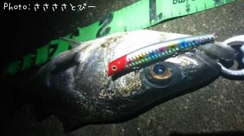 �����Х�