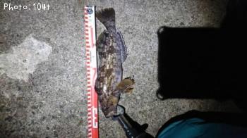 �����ʥ�