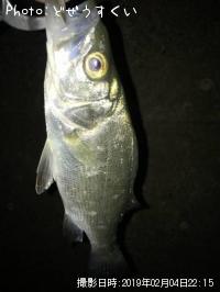 �����Х��ʥҥ饻������