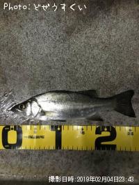 �����Х��ʥҥ饻������