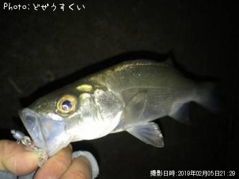 �����Х��ʥҥ饻������