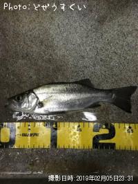 �����Х��ʥҥ饻������