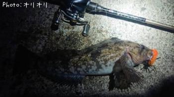 �����ʥ�