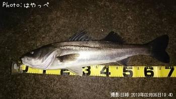 �����Х�