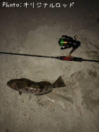 �����ʥ�