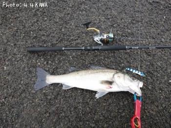 �����Х�