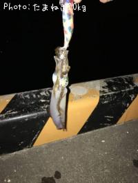 �����ꥤ��