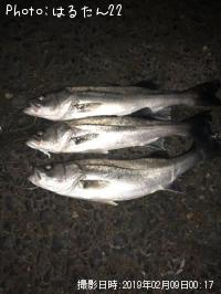 �����Х�