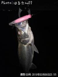 �����Х�