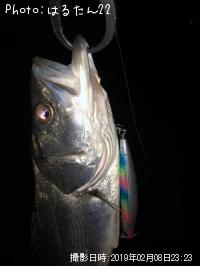 �����Х�