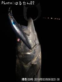 �����Х�