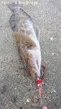 �����ʥ�