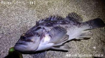 ¥¿¥±¥Î¥³¥á¥Ð¥ë